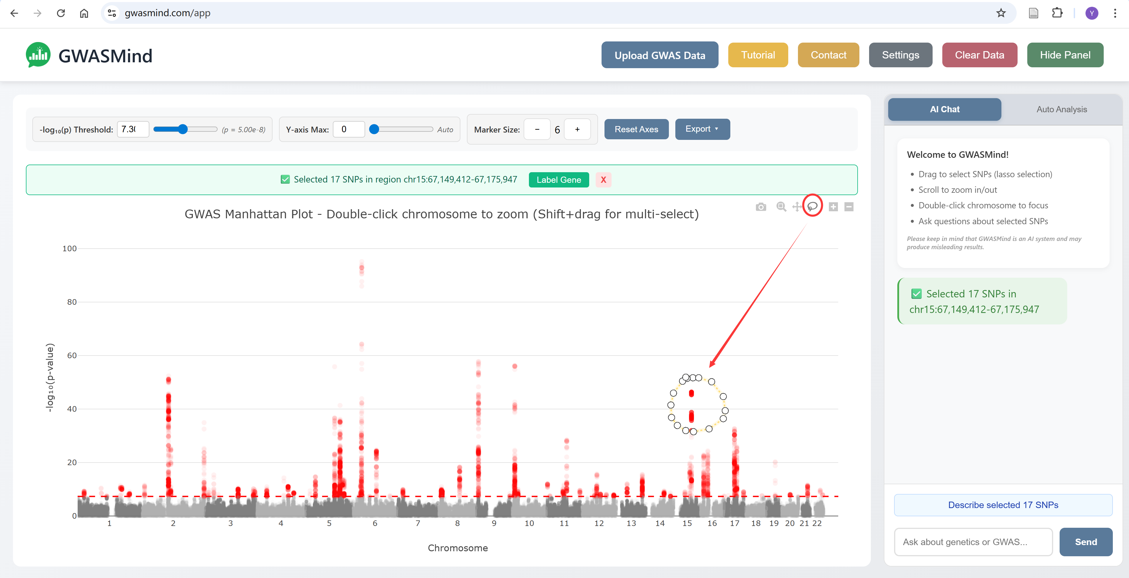 Lasso selection highlighting a genomic region